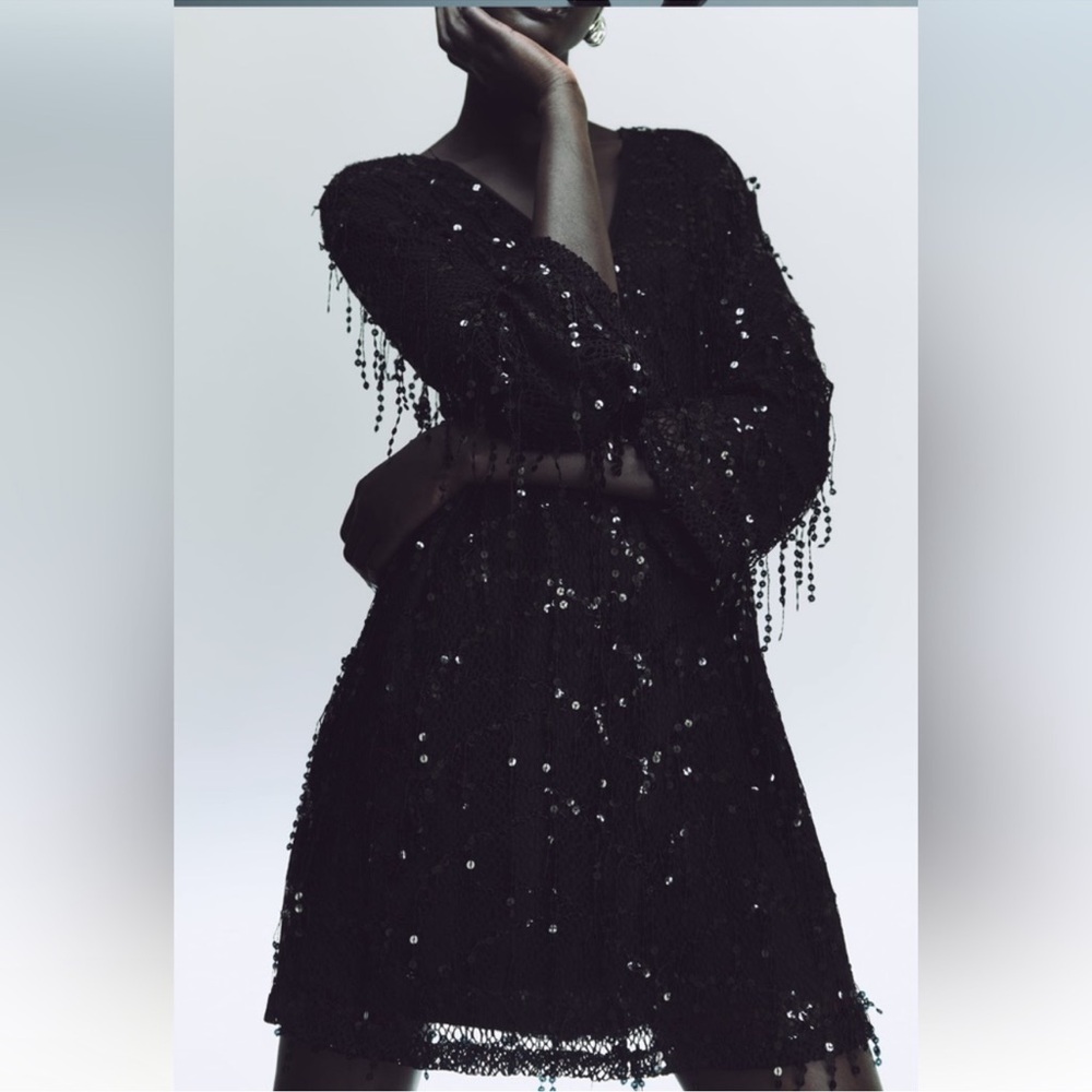 ZARA FRINGED SEQUIN MINI DRESS SIZE SMALL NWT - Picture 3 of 9
